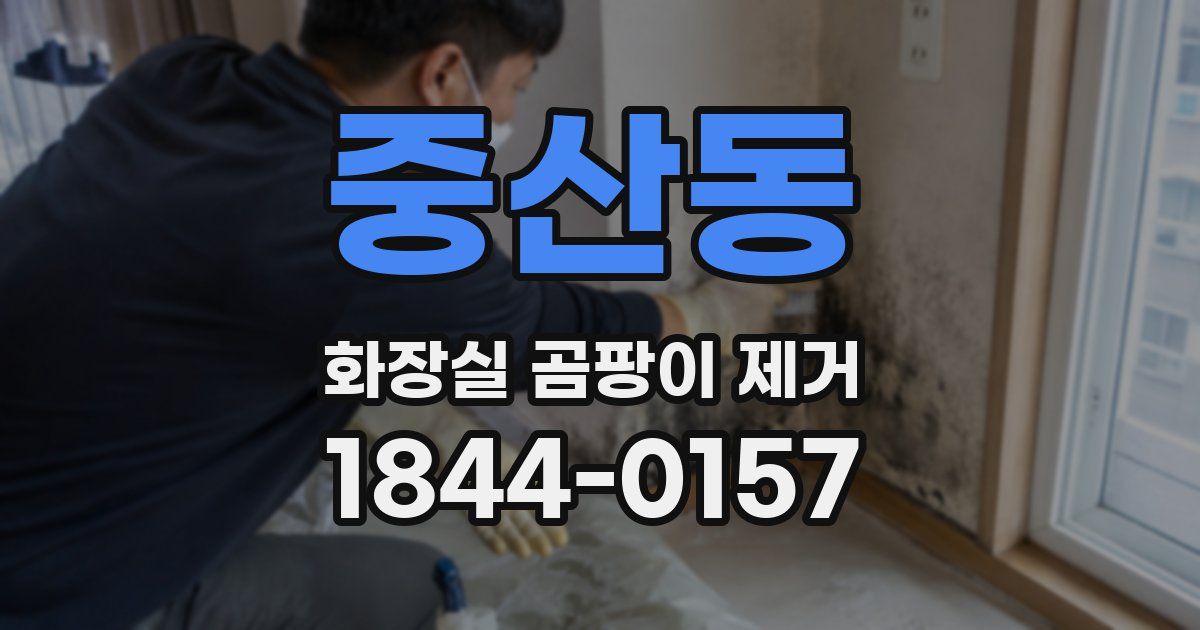 중산동 화장실 곰팡이 제거