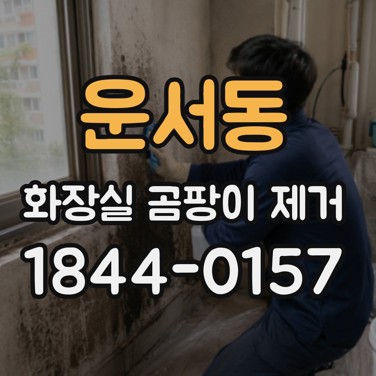 운서동 화장실 곰팡이 제거