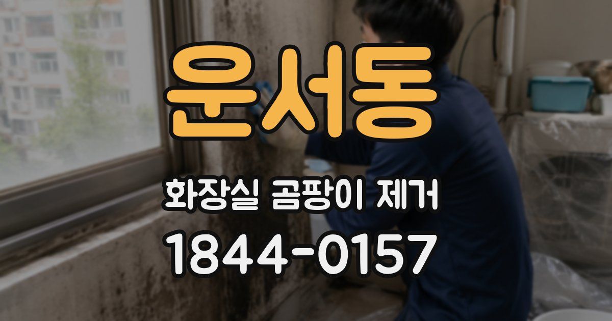운서동 화장실 곰팡이 제거