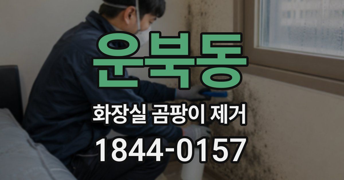 운북동 화장실 곰팡이 제거