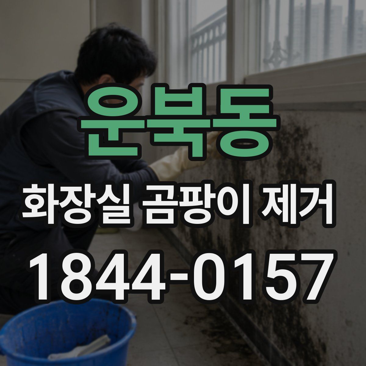 운북동 화장실 곰팡이 제거