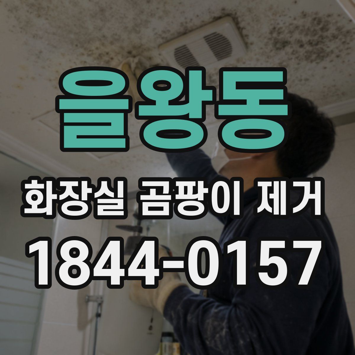 을왕동 화장실 곰팡이 제거