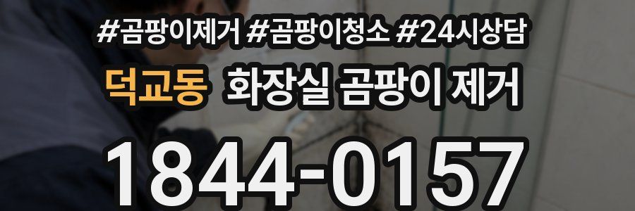 덕교동 화장실 곰팡이 제거