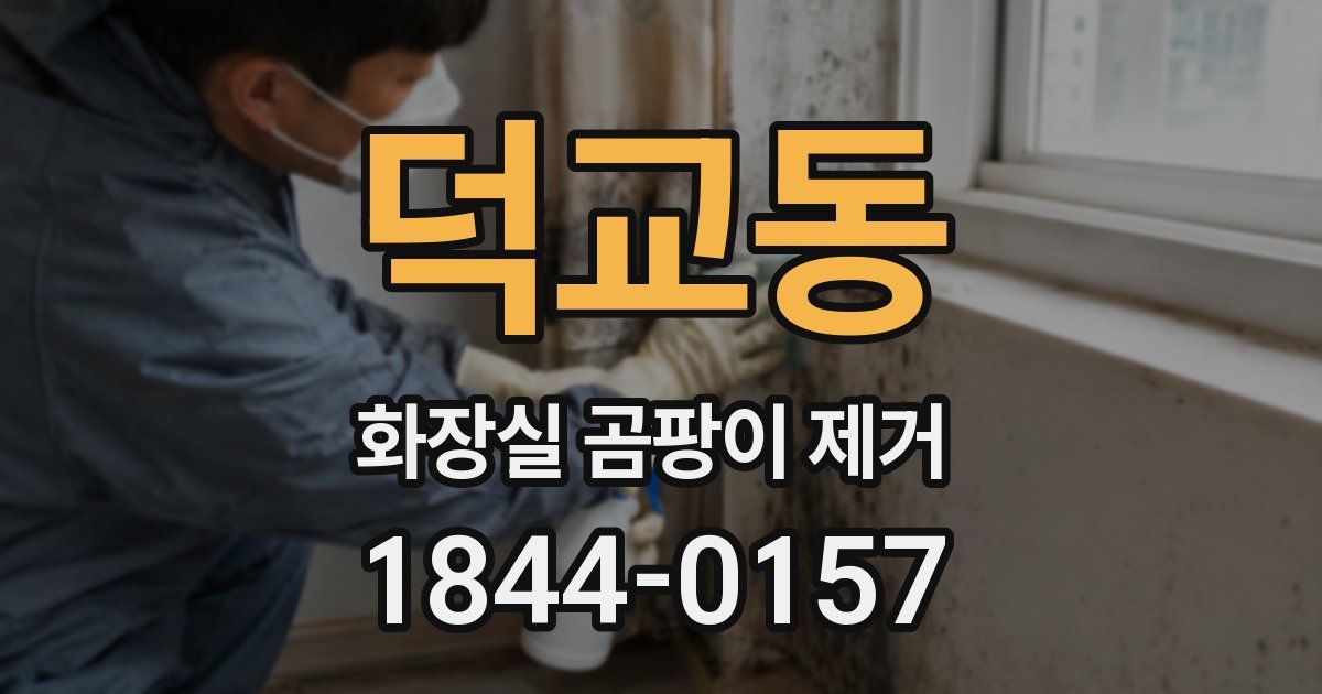 덕교동 화장실 곰팡이 제거