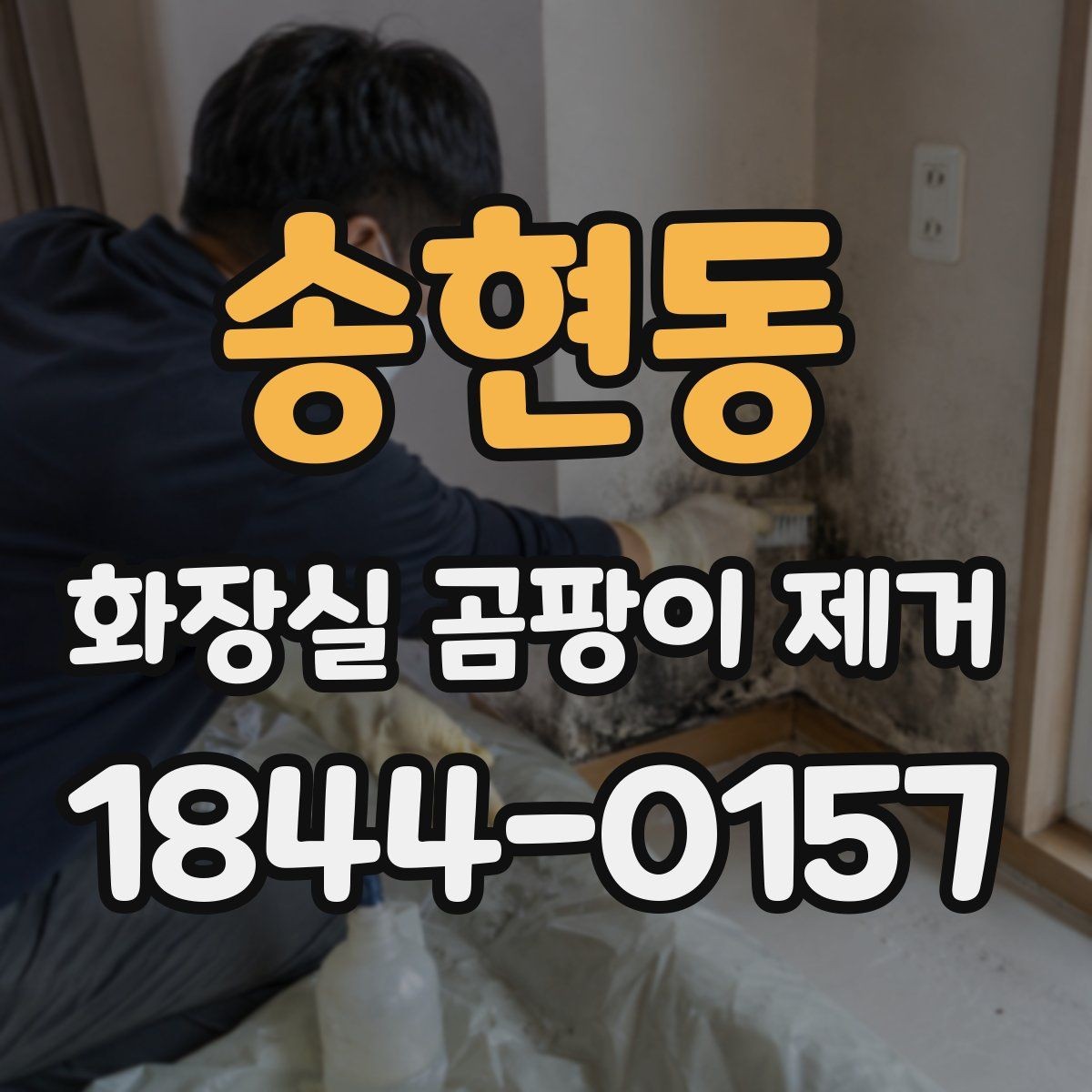 송현동 화장실 곰팡이 제거 청소보다 먼저 확인할 누수와 습기 원인