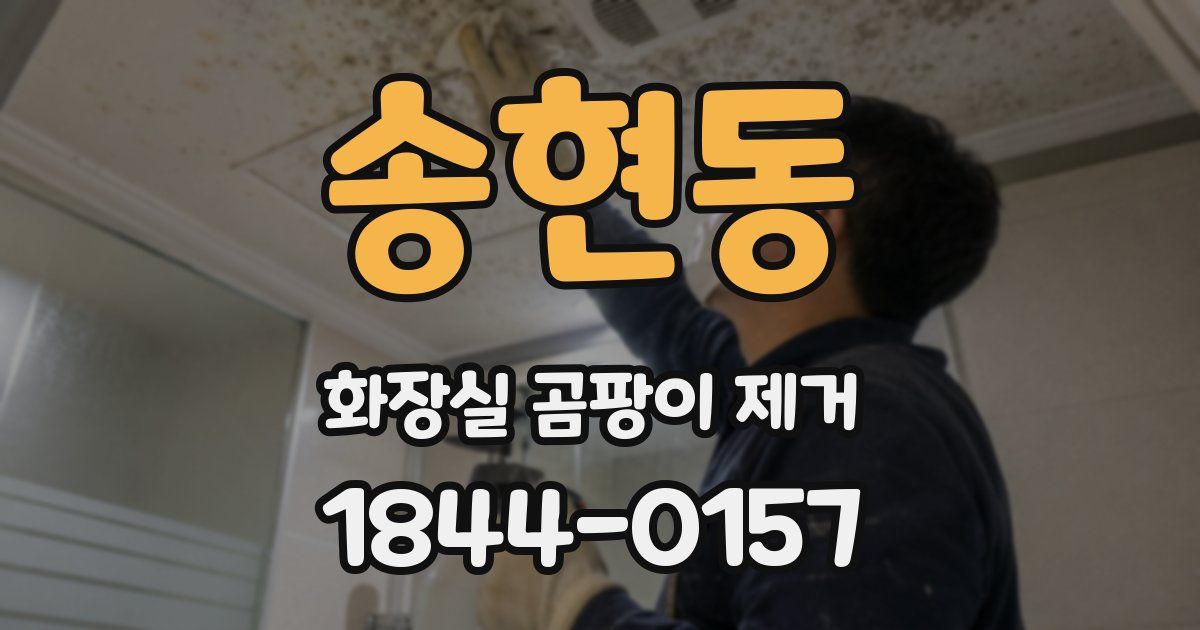송현동 화장실 곰팡이 제거