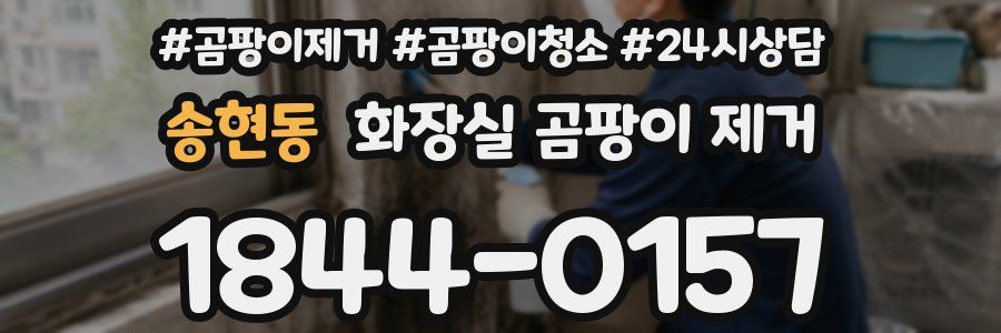 송현동 화장실 곰팡이 제거