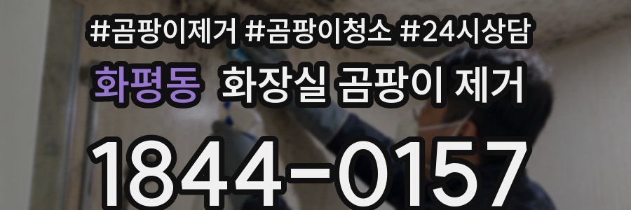 화평동 화장실 곰팡이 제거