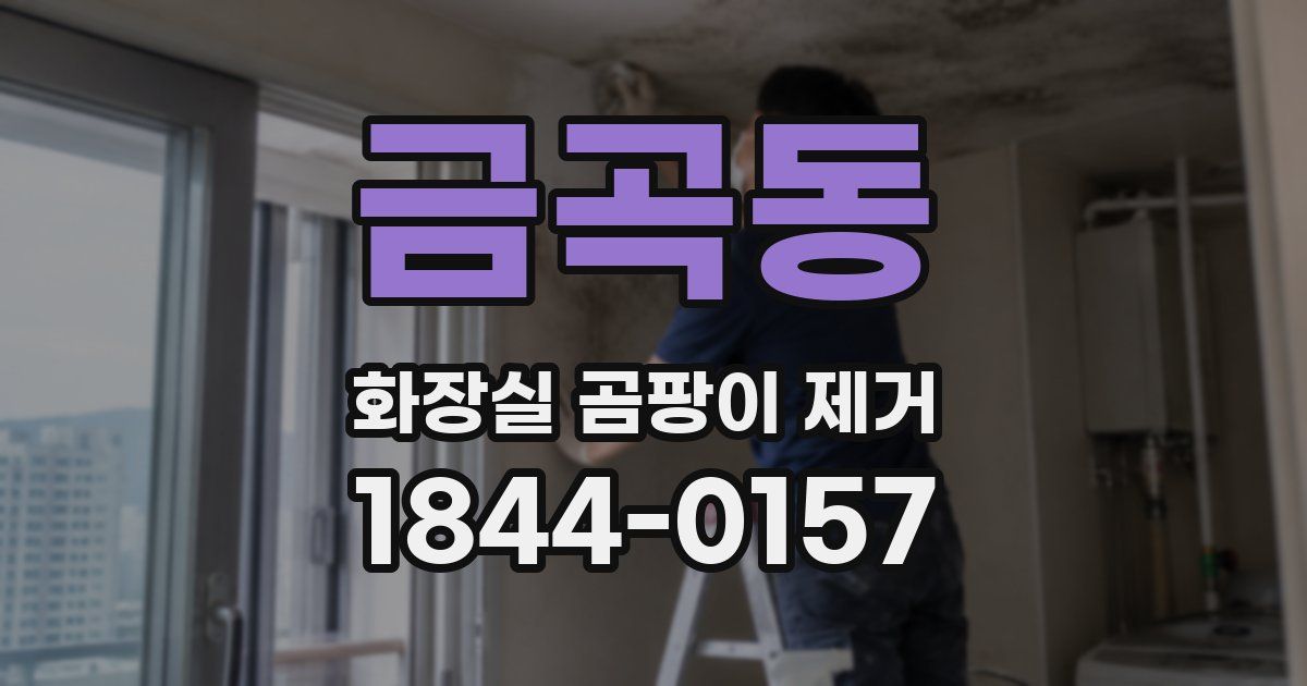 금곡동 화장실 곰팡이 제거