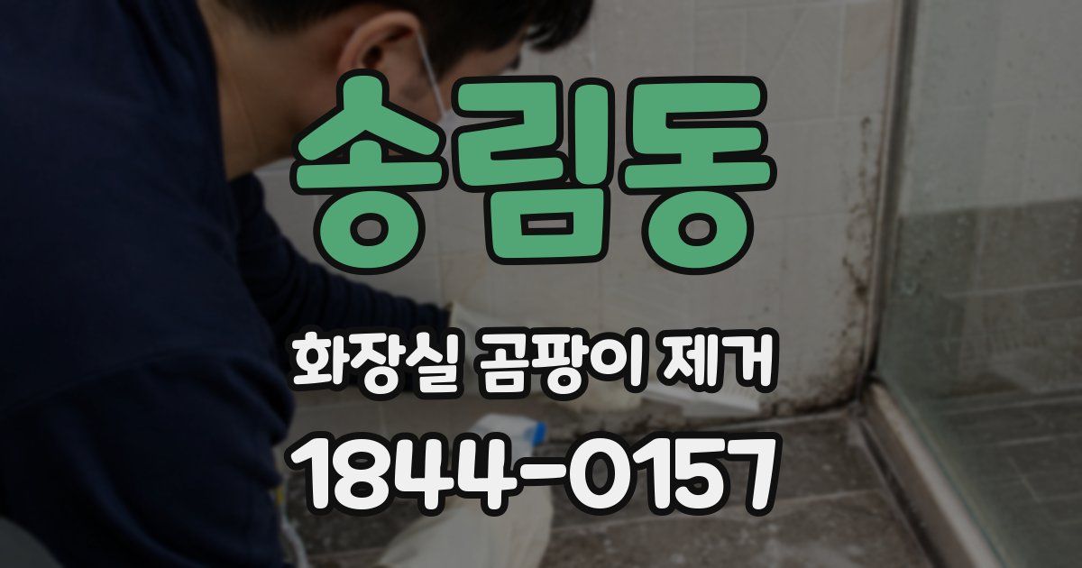 송림동 화장실 곰팡이 제거