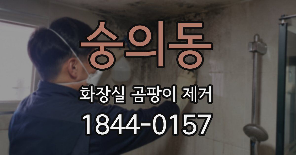 숭의동 화장실 곰팡이 제거