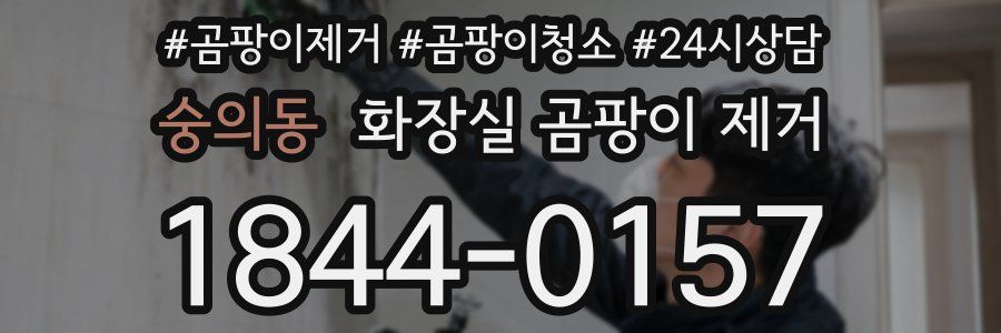 숭의동 화장실 곰팡이 제거