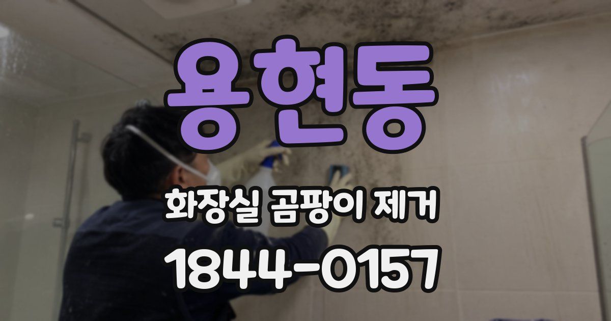 용현동 화장실 곰팡이 제거