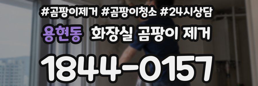 용현동 화장실 곰팡이 제거