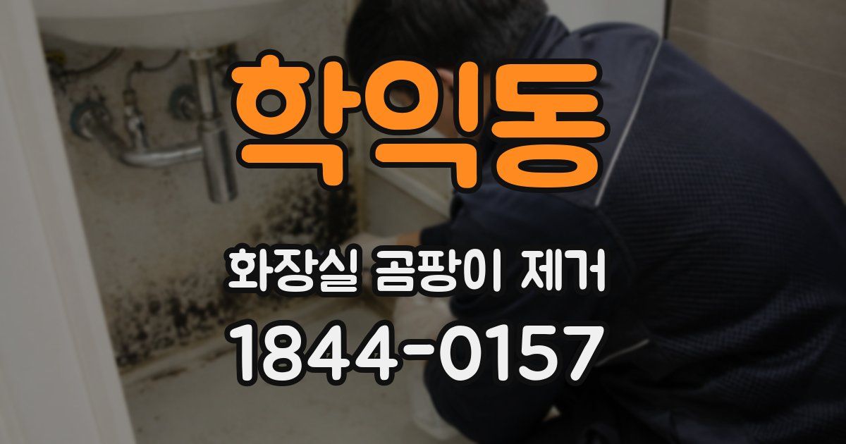 학익동 화장실 곰팡이 제거