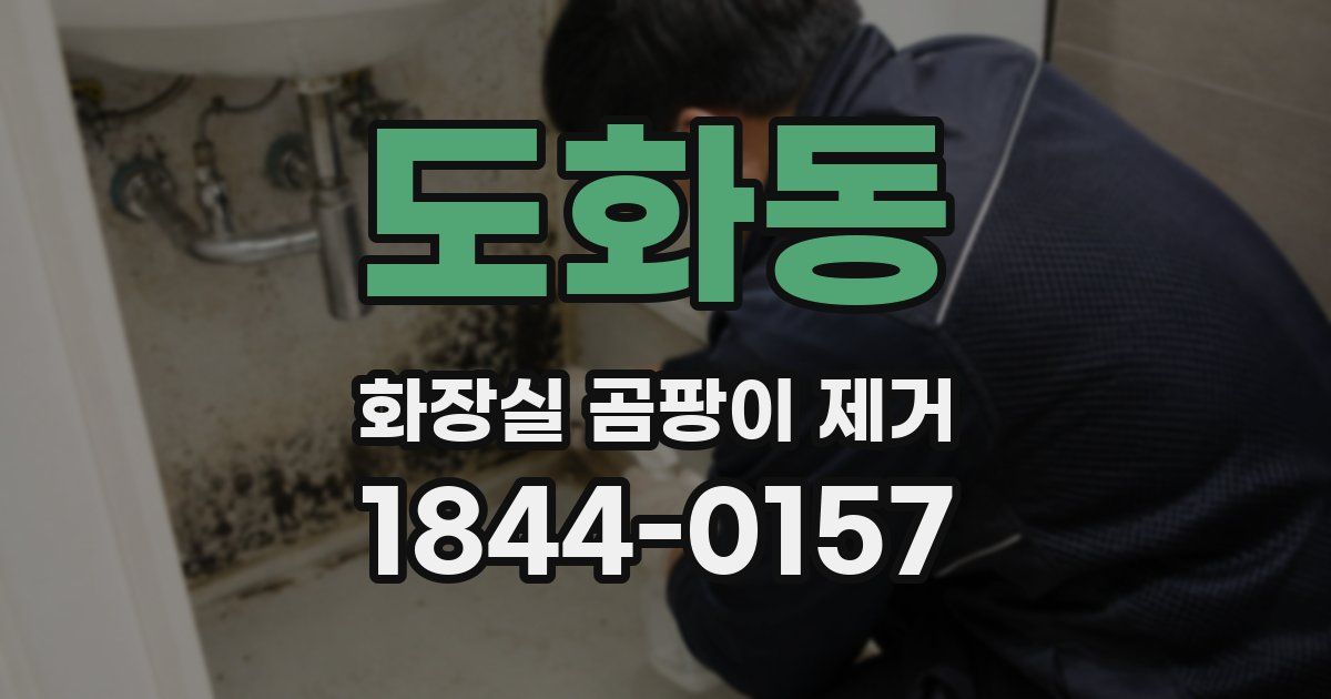 도화동 화장실 곰팡이 제거