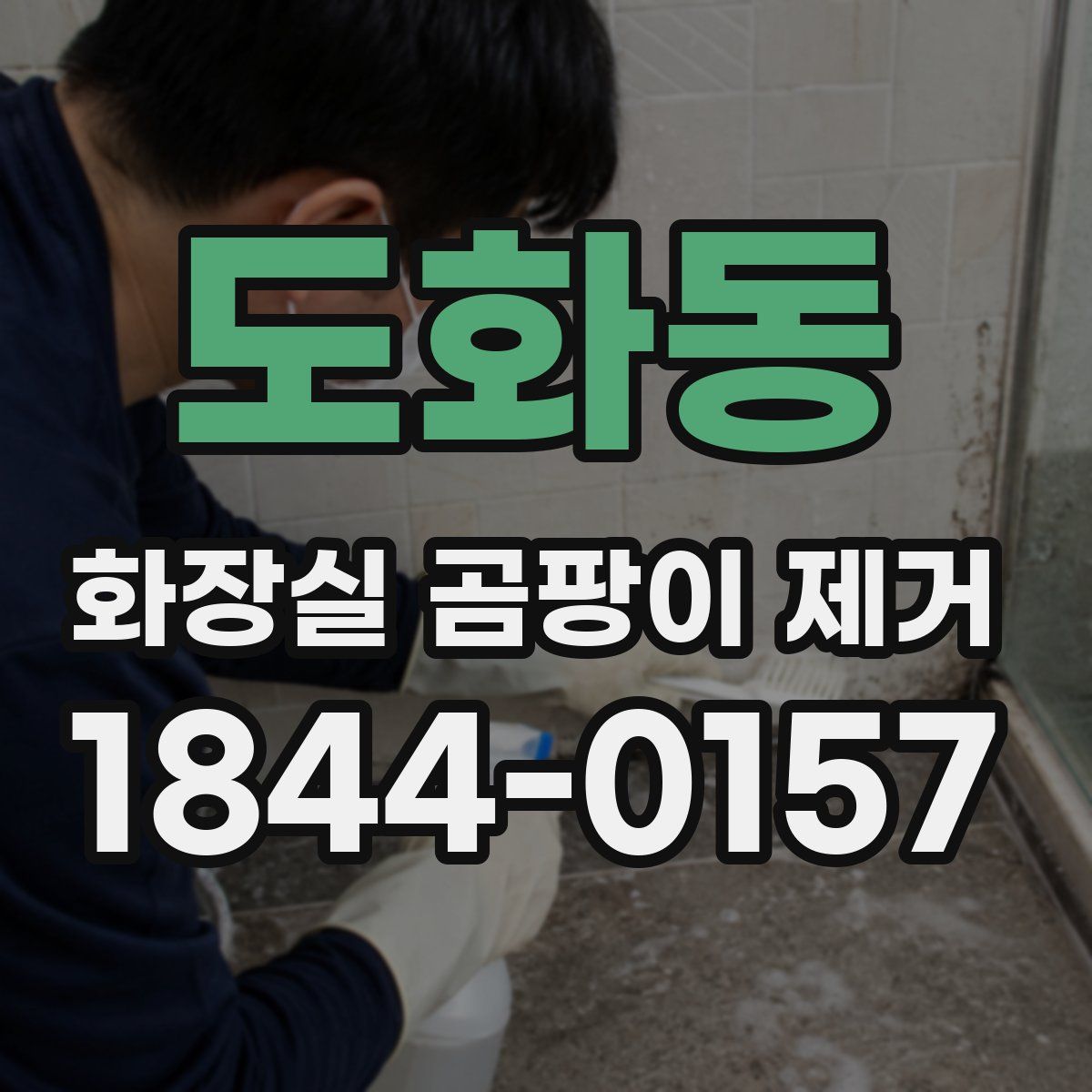 도화동 화장실 곰팡이 제거