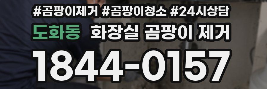 도화동 화장실 곰팡이 제거