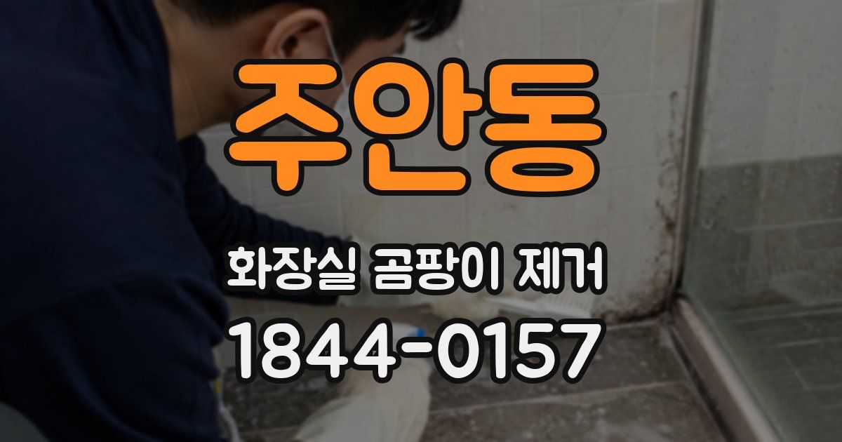 주안동 화장실 곰팡이 제거
