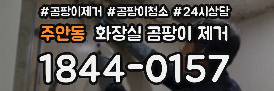 주안동 화장실 곰팡이 제거