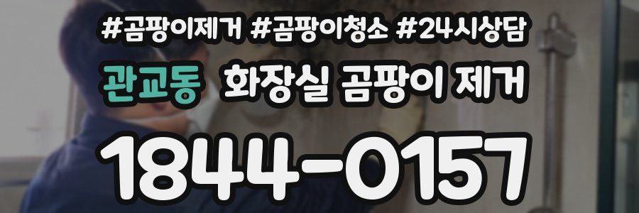 관교동 화장실 곰팡이 제거