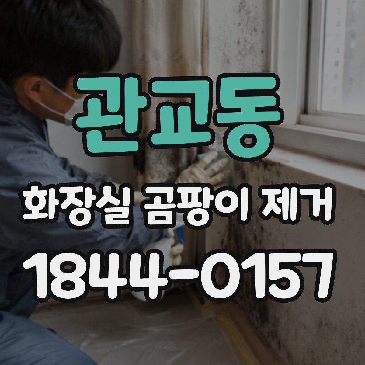 관교동 화장실 곰팡이 제거