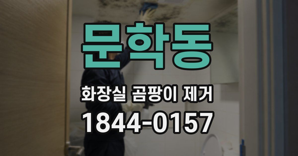 문학동 화장실 곰팡이 제거
