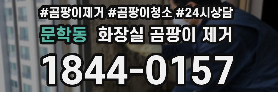문학동 화장실 곰팡이 제거