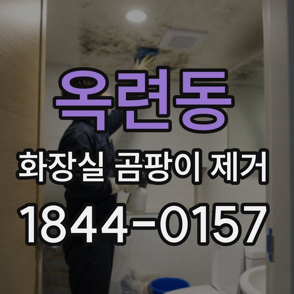 옥련동 화장실 곰팡이 제거