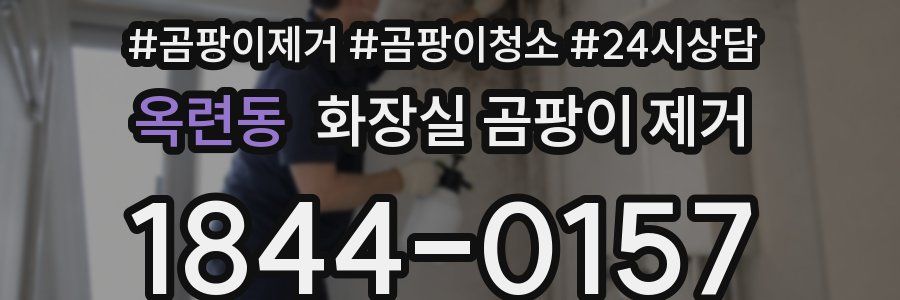 옥련동 화장실 곰팡이 제거