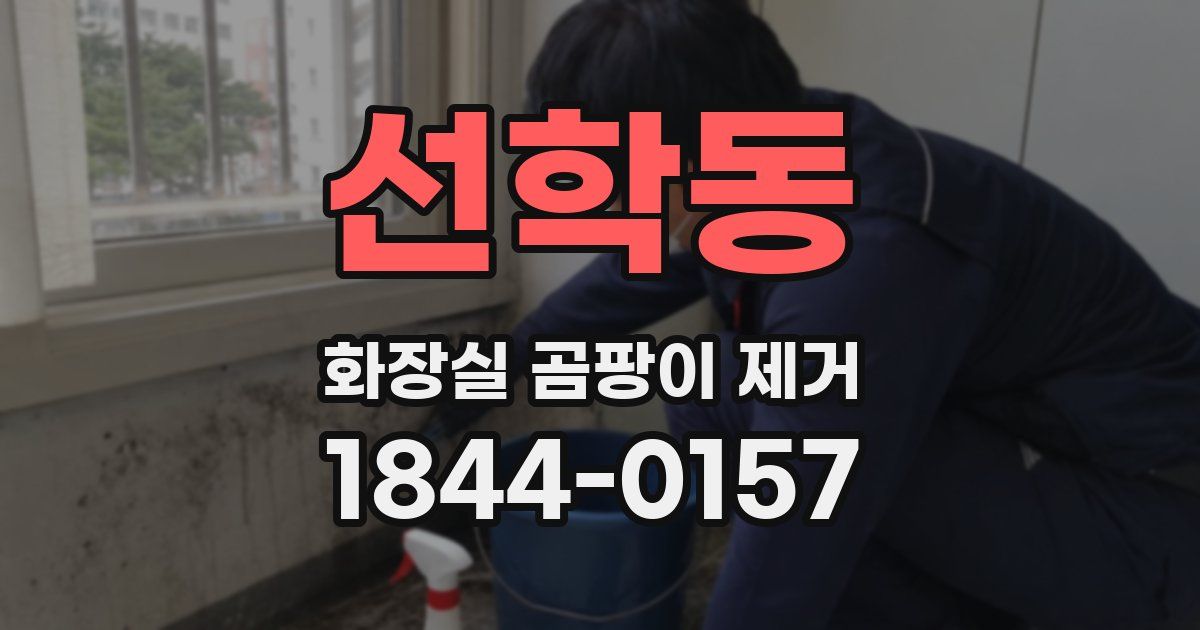 선학동 화장실 곰팡이 제거