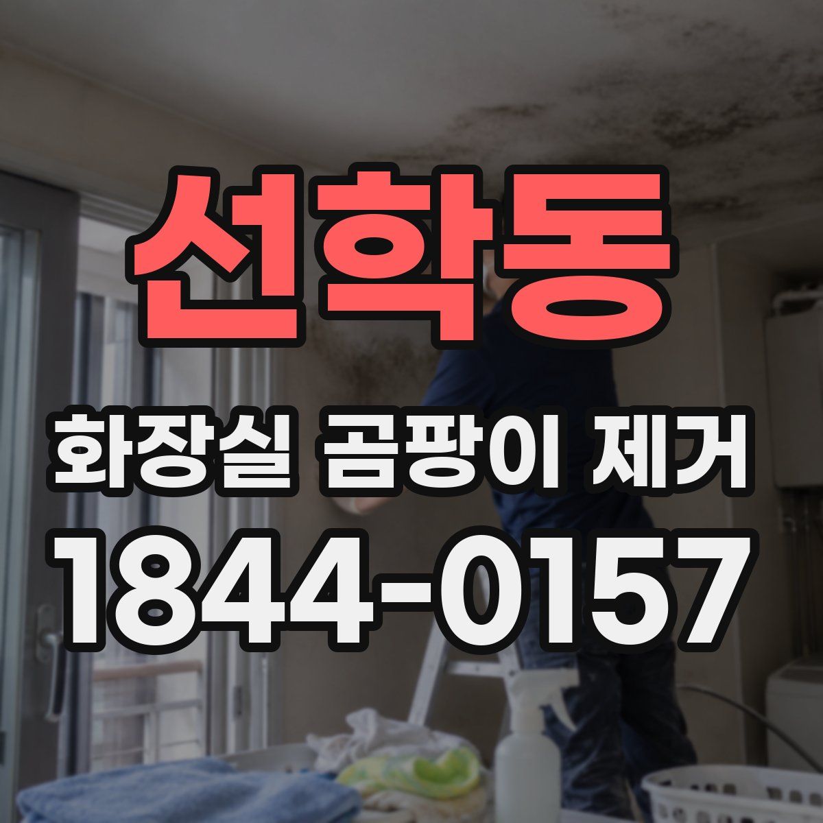 선학동 화장실 곰팡이 제거
