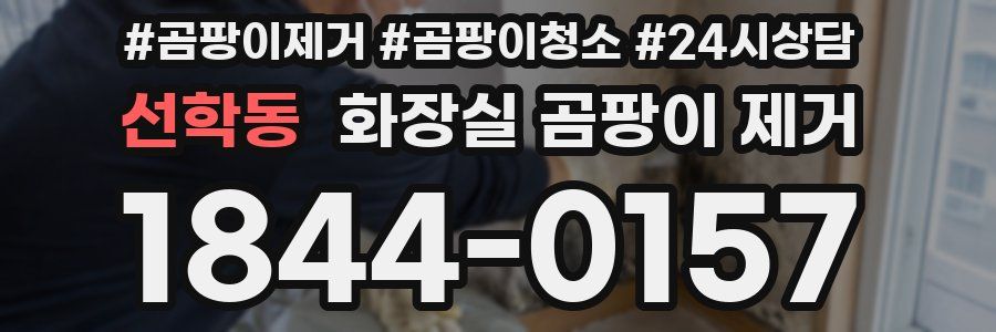선학동 화장실 곰팡이 제거
