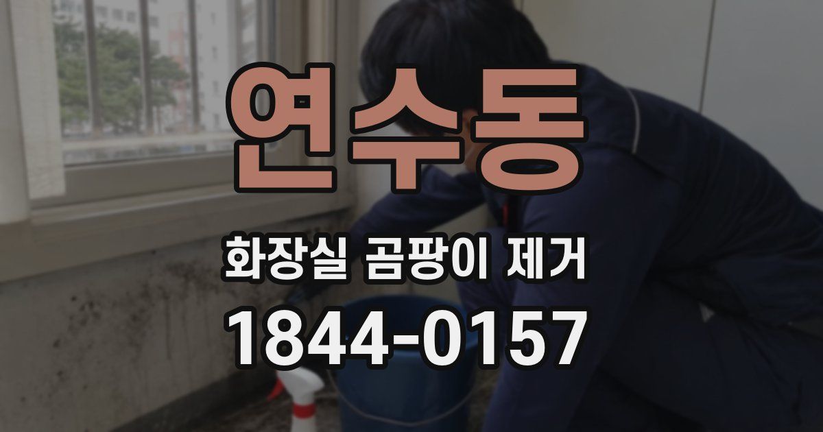 연수동 화장실 곰팡이 제거