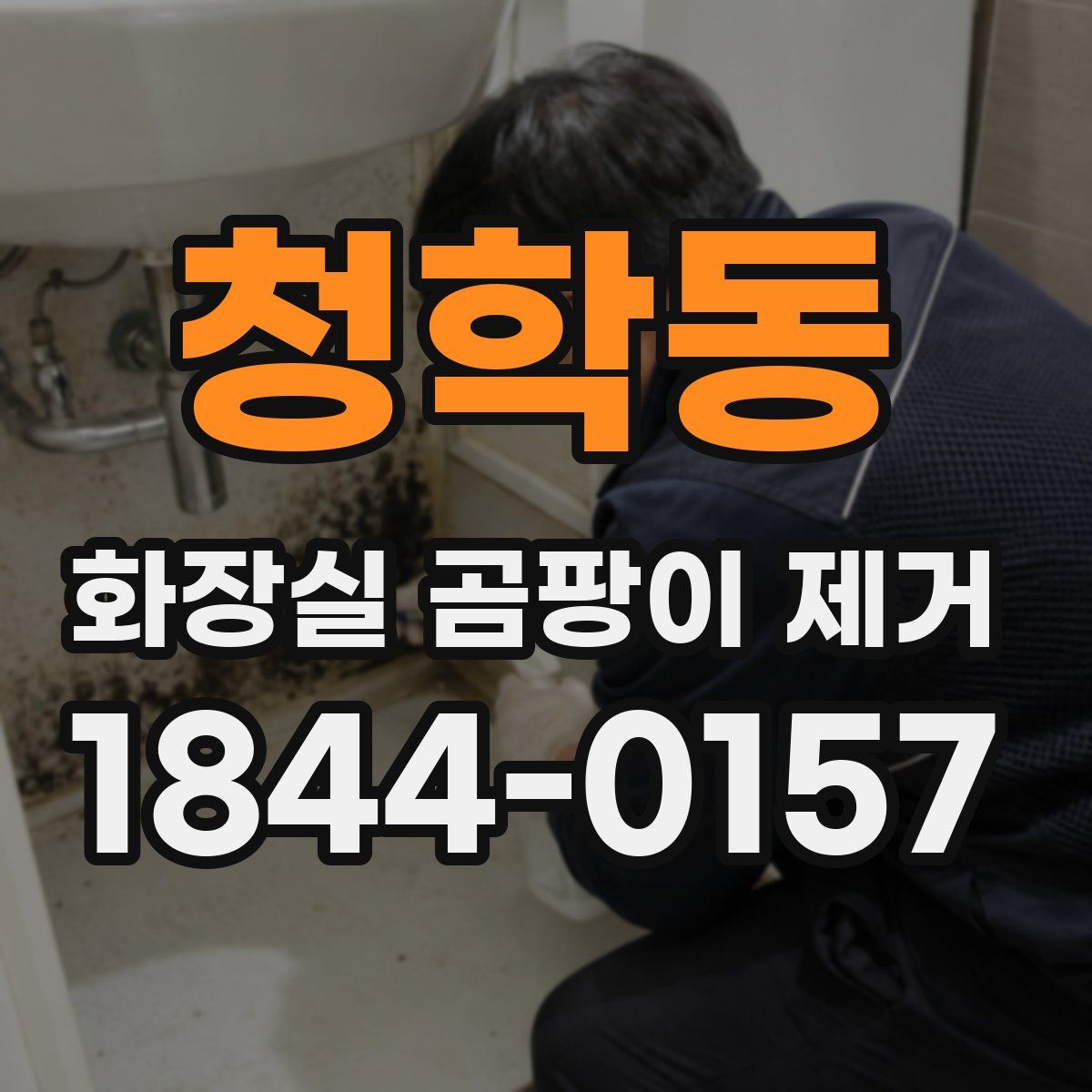 청학동 화장실 곰팡이 제거