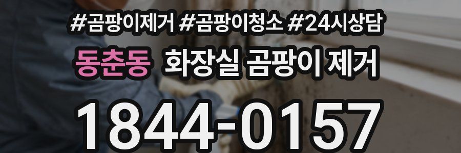 동춘동 화장실 곰팡이 제거