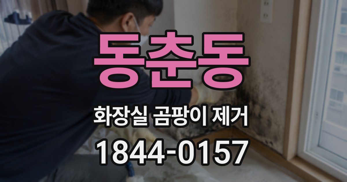 동춘동 화장실 곰팡이 제거