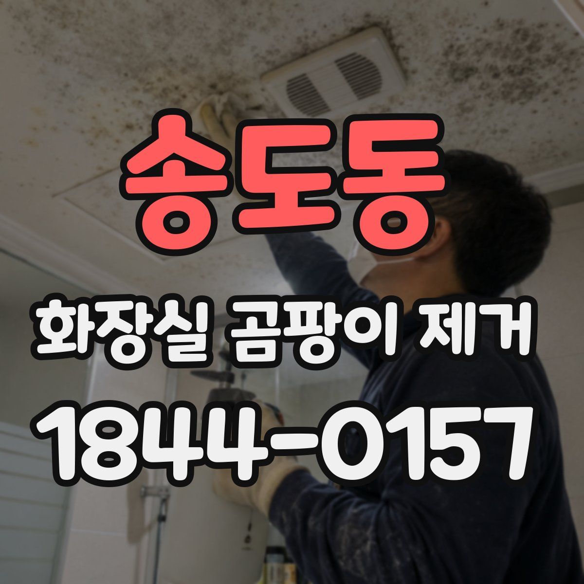 송도동 화장실 곰팡이 제거