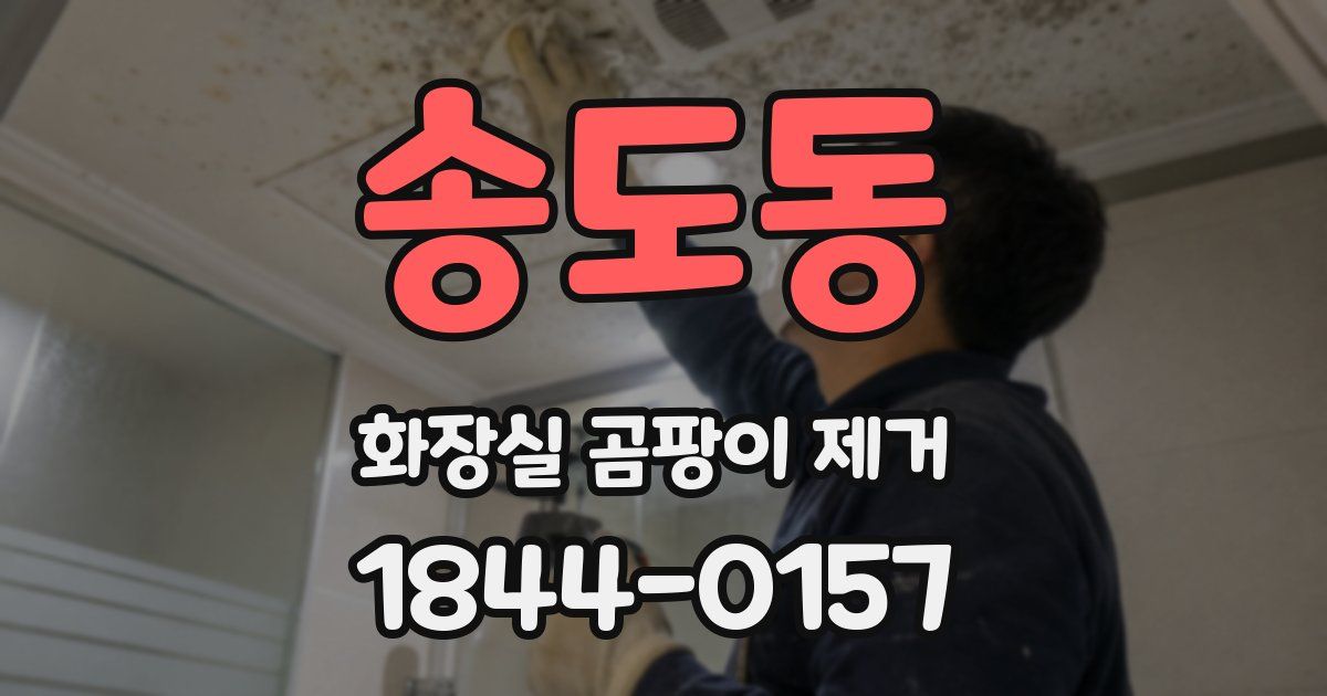 송도동 화장실 곰팡이 제거