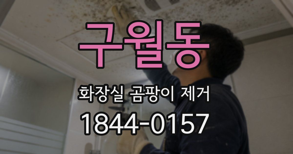 구월동 화장실 곰팡이 제거