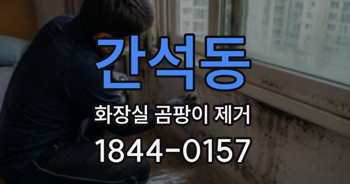 간석동 화장실 곰팡이 제거