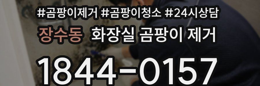 장수동 화장실 곰팡이 제거