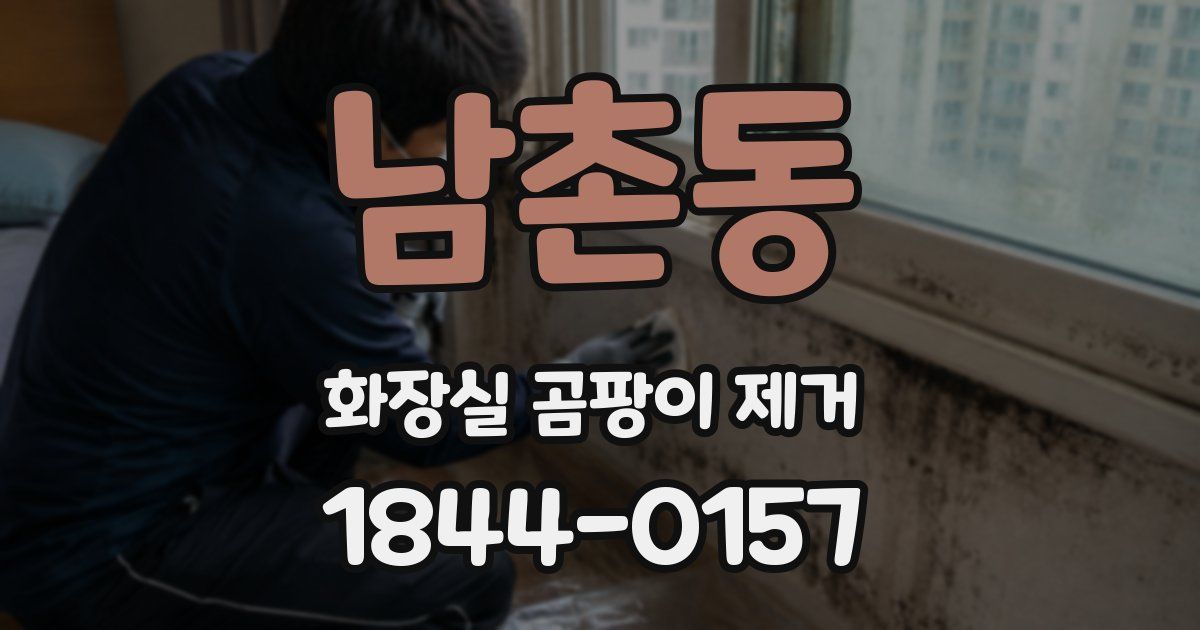 남촌동 화장실 곰팡이 제거
