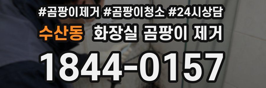 수산동 화장실 곰팡이 제거