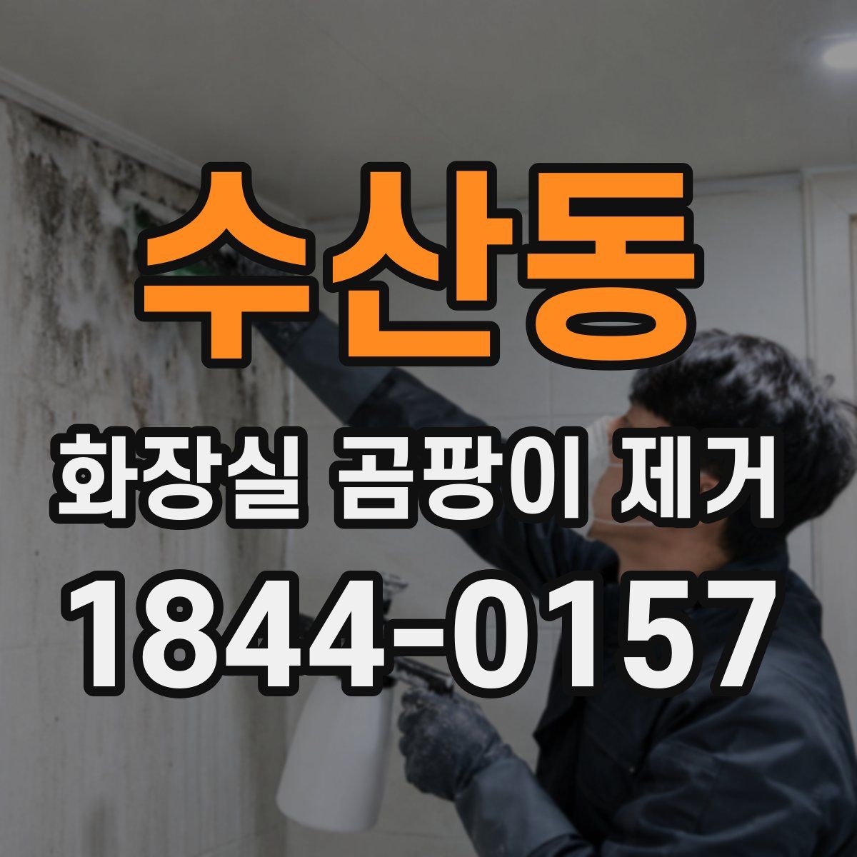 수산동 화장실 곰팡이 제거