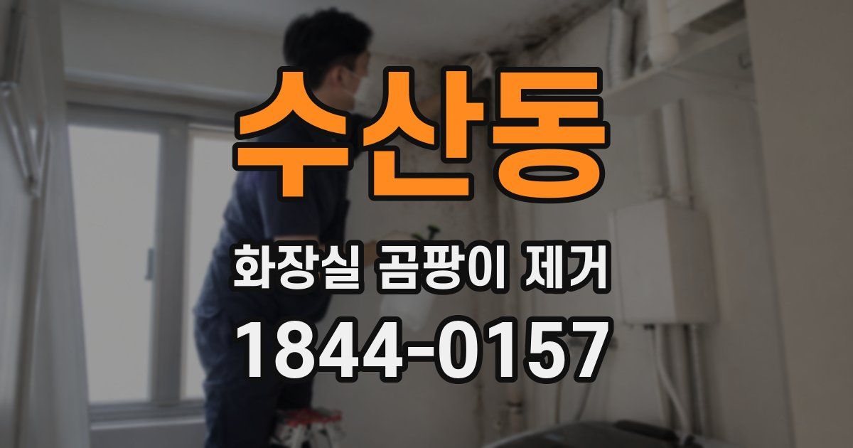 수산동 화장실 곰팡이 제거