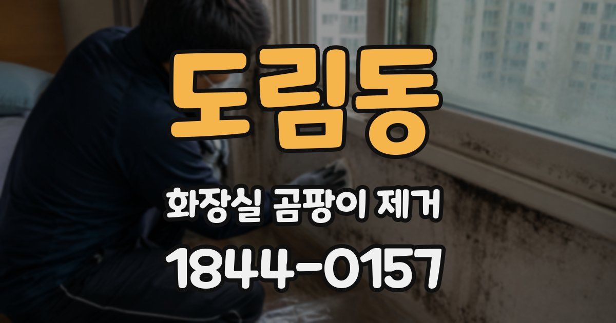 도림동 화장실 곰팡이 제거