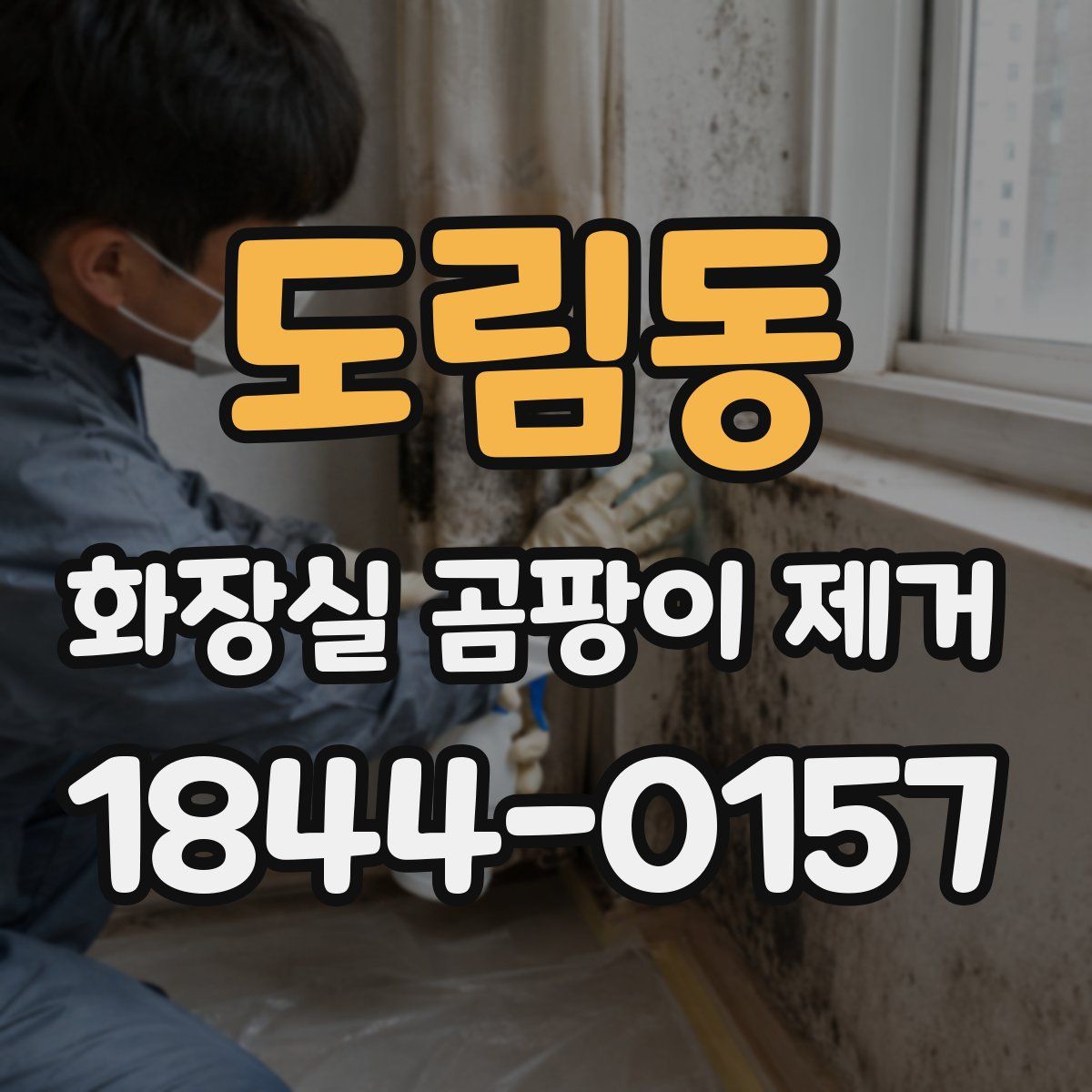 도림동 화장실 곰팡이 제거
