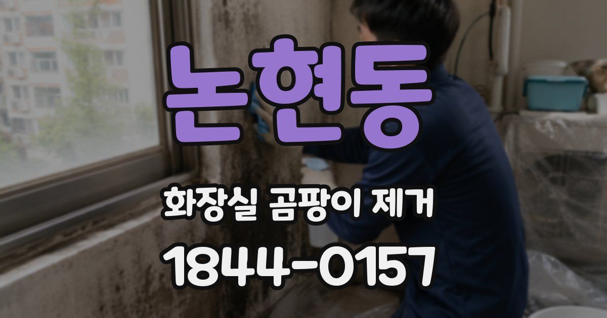 논현동 화장실 곰팡이 제거