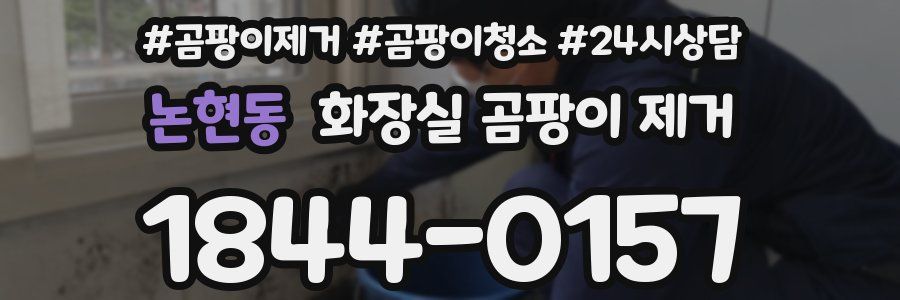 논현동 화장실 곰팡이 제거